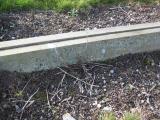 image of grave number 926769